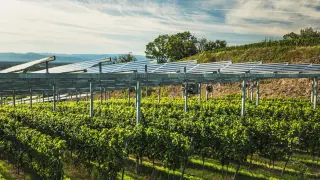 La 'edad dorada' de la energía solar tras crecer un 12,5% en España: "Crea electricidad al precio más competitivo"