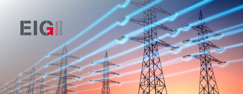 Redes eléctricas distribuidas y flexibilidad del sistema